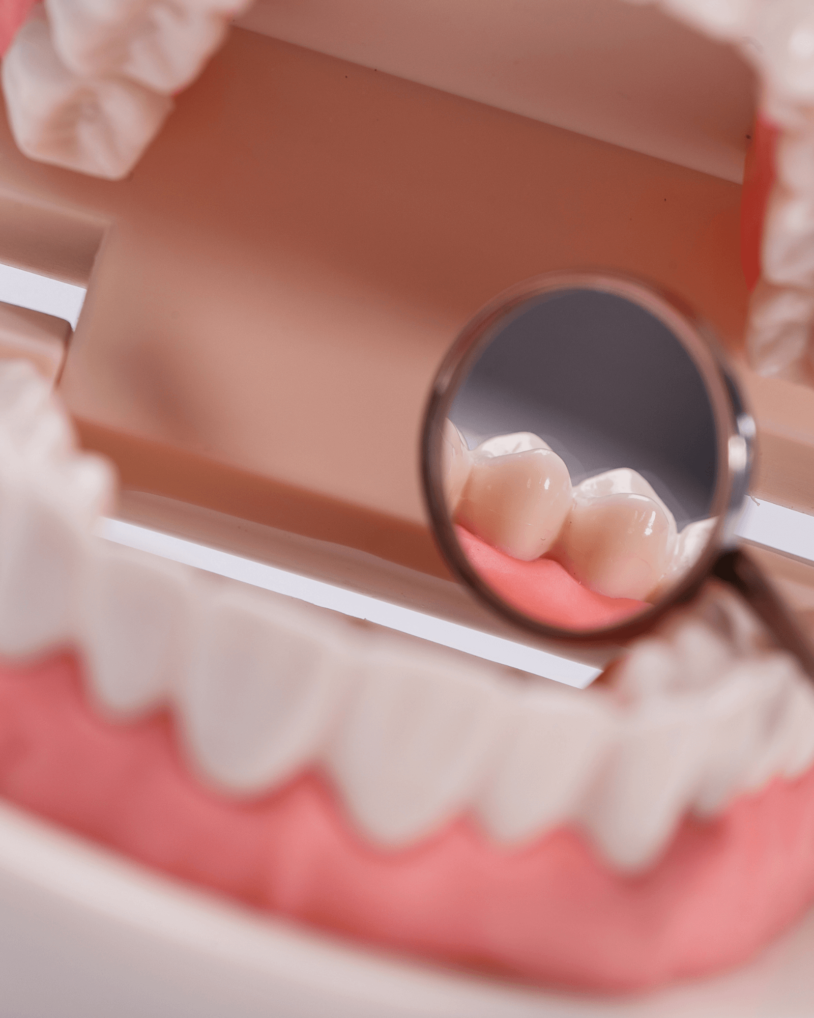plastic model of a mouth and a dentist mirror