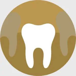 Dislodged Teeth Treatment at Artsmiles Emergency Dentist golden icon